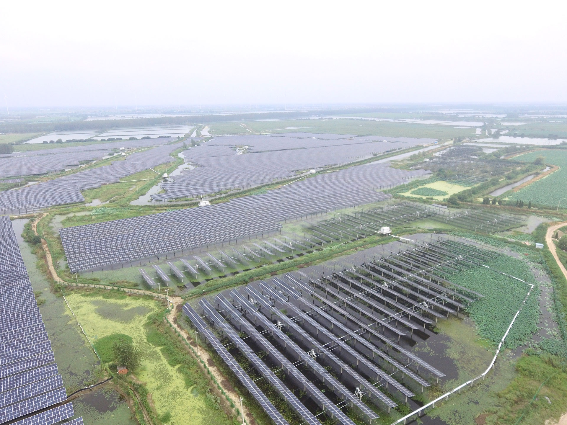 #2 100 MW Project at the Top Runner PV Power Generation Application Base of lehu.com in Baoying, Yangzhou, Jiangsu Province